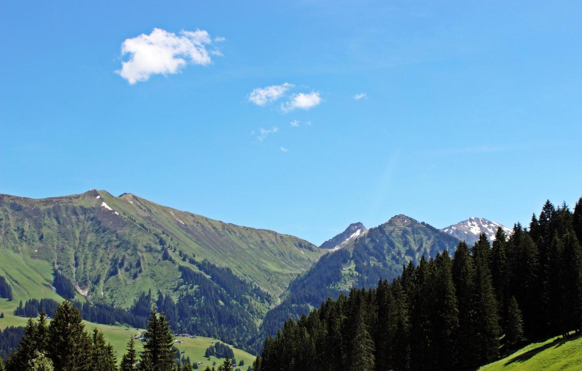 Hotel Alpengasthof Hoernlepass Riezlern Exterior foto