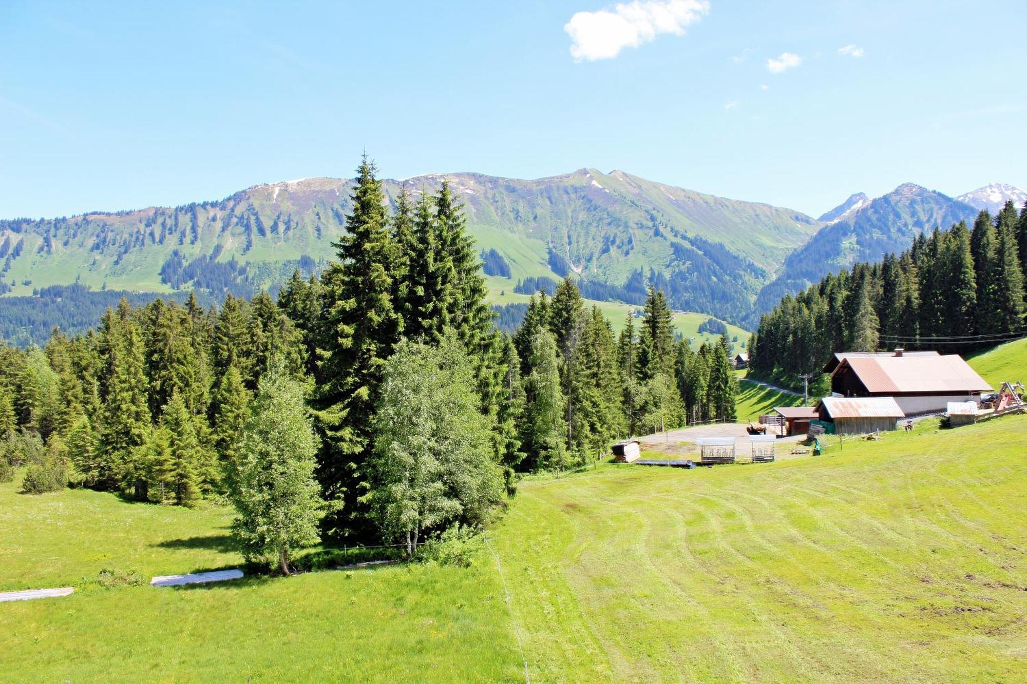 Hotel Alpengasthof Hoernlepass Riezlern Zimmer foto