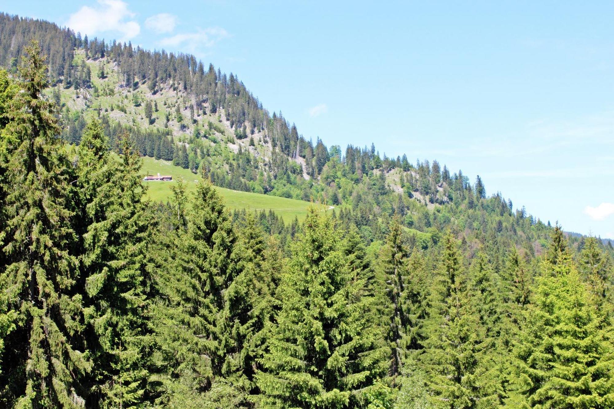 Hotel Alpengasthof Hoernlepass Riezlern Zimmer foto